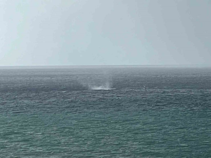 Alanya açıklarında oluşan hortum korkuttu