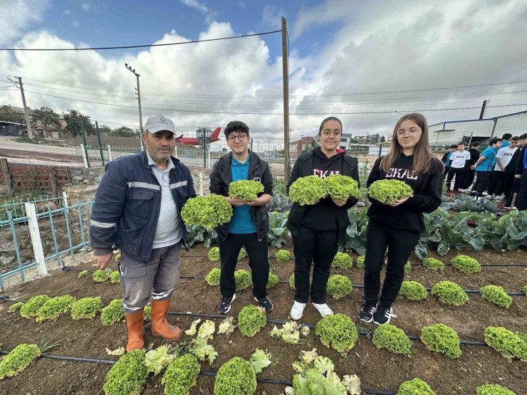Öğrenciler, "Bahçem Çayırova"da ilk hasadı yaptı