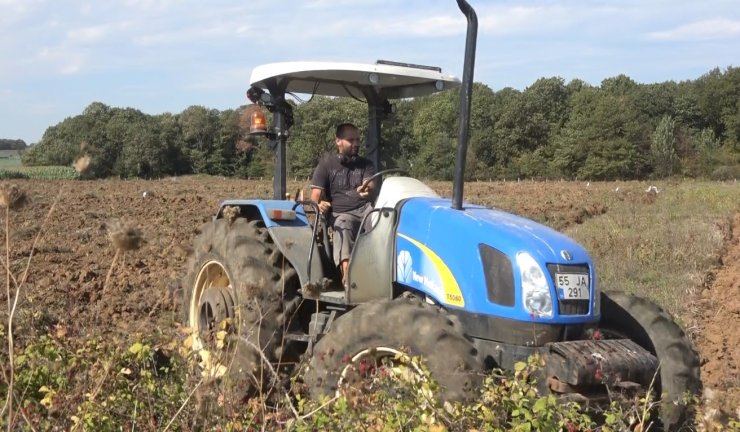 Bafra Ovası’nda 100 bin dekarlık alanda kışlık sebze ekimi başladı