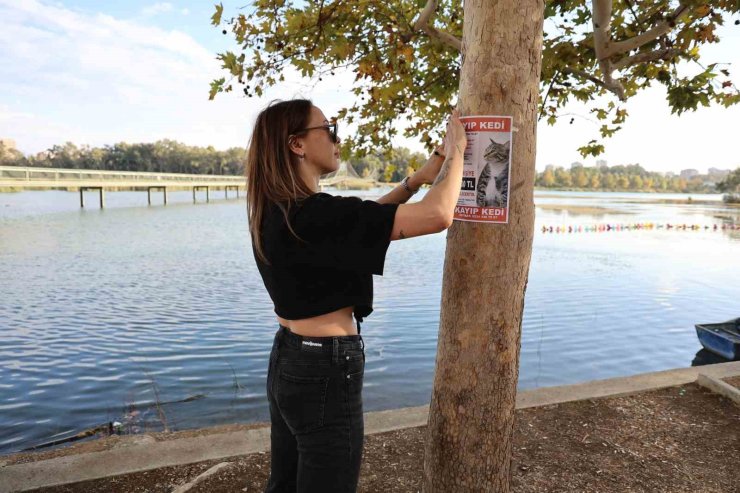 Kayıp kedisini bulana 100 bin lira ödül verecek
