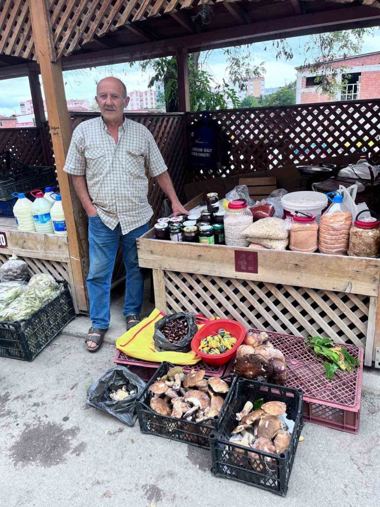 Türkeli’de kestane ve fesleğen mantarı tezgahlarda