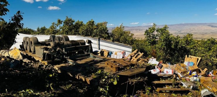 Muş’ta freni boşalan tır kaza yaptı: 1 yaralı