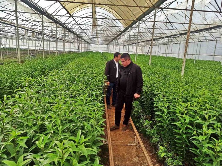 Emet’te üreticiler için Simav’daki seralara teknik gezi