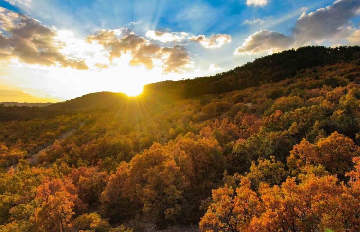 Erzincan’da hazan mevsimi güzelliği
