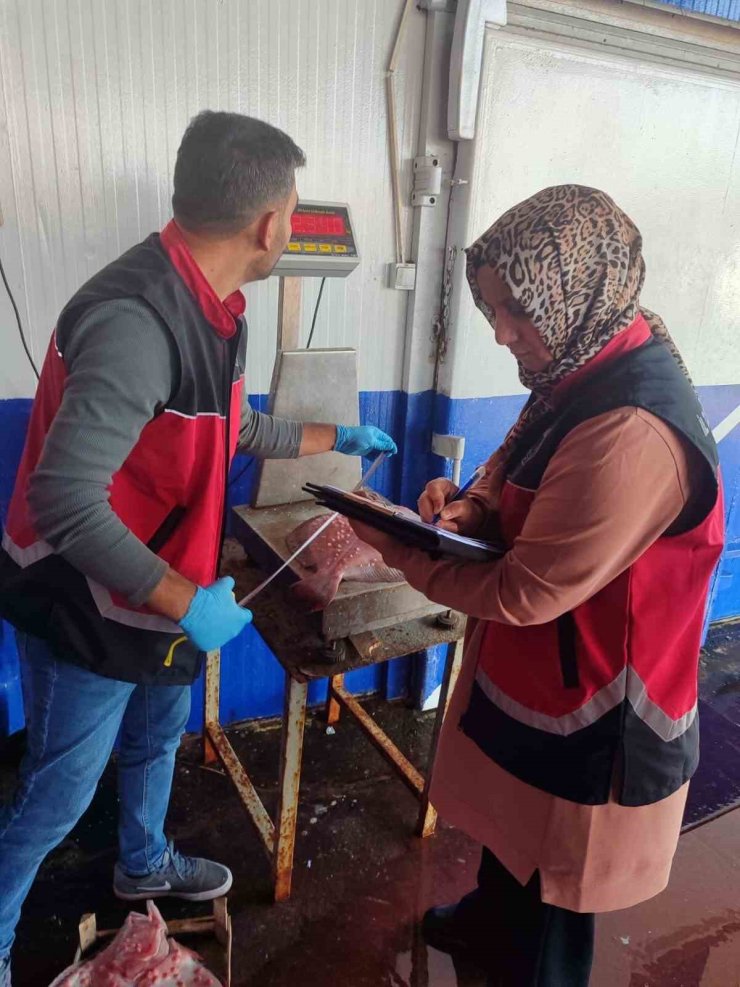 Zonguldak’ta su ürünleri denetimleri sürüyor