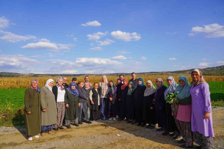 Bilecik’te dağıtılan sebze fidelerinin hasadını yapıldı