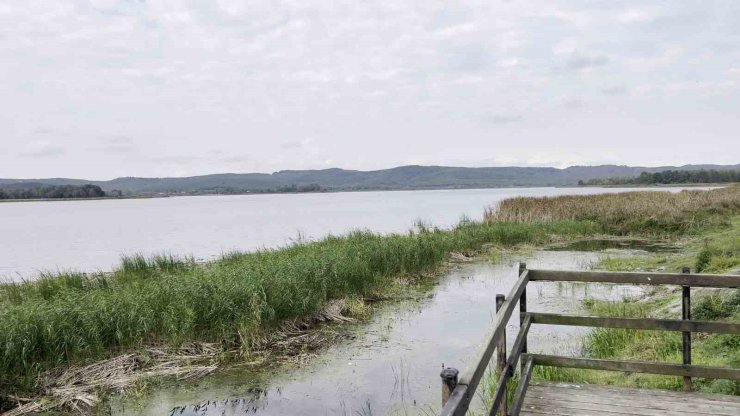 Sakarya’nın alüvyon set gölü can çekişiyor: Su seviyesi 8 metreden 2 metreye düştü
