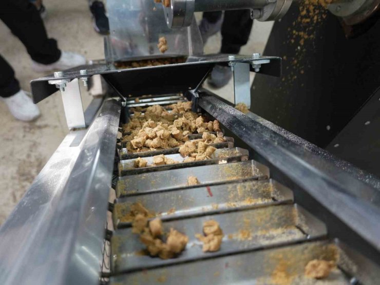 Düzce’de sokak hayvanları için mama üretim tesisi kuruldu