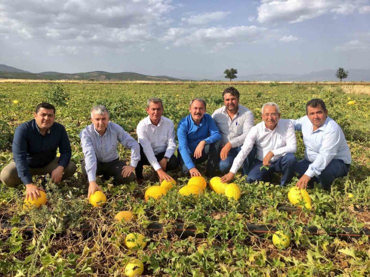 Tezgahlarda 10 liraya satılan Acıpayam kavunu tescillendi