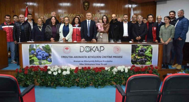 Ordu’da maviyemiş ve aronya üretim alanı 180 dekara ulaşıyor