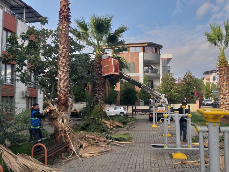 Nazilli Belediyesi’nden 12 mahallede eş zamanlı çalışma