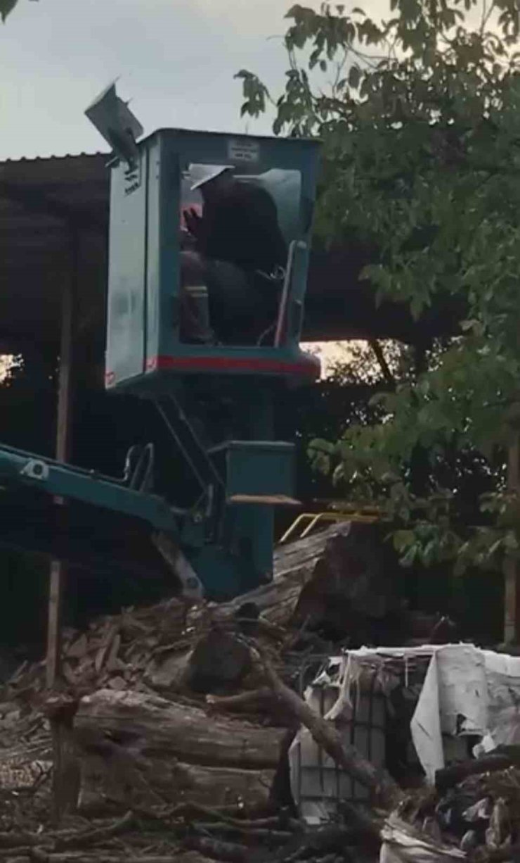 Bursa’da vinç üstünde "arı alarmı"