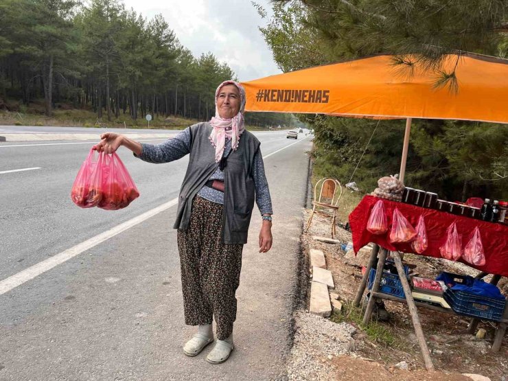 Muğla’da çıntarlar tezgahtaki yerini aldı