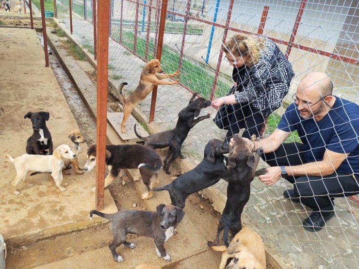 Germencik Sokak Hayvanları Rehabilitasyon Merkezi açılış için gün sayıyor