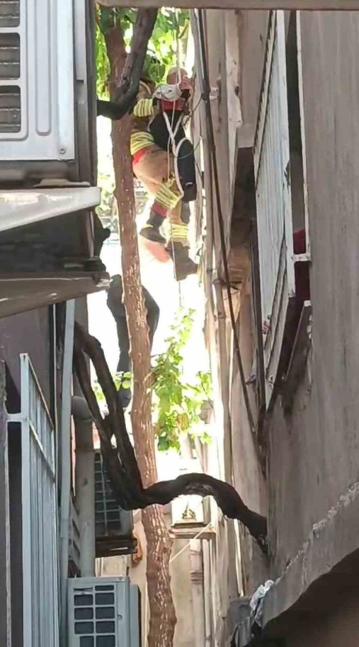Ağaçta asılı kalan şahsı itfaiye kurtardı