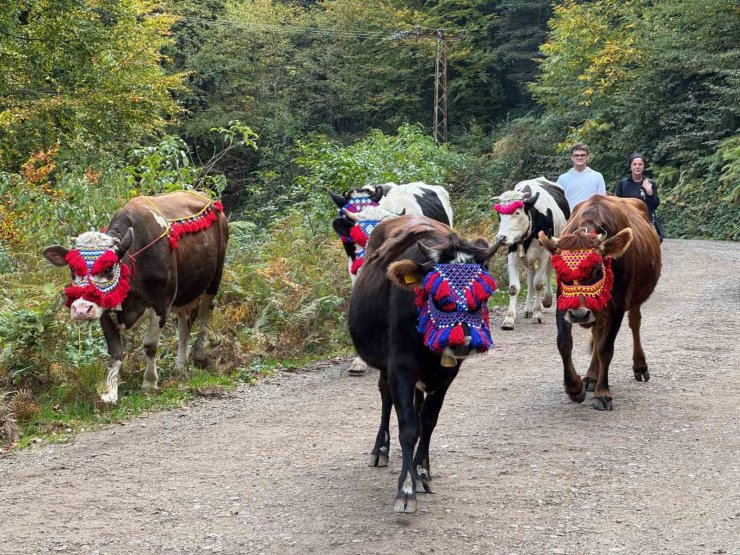 Asırlık gelenek sürdürülüyor: Keremali Yaylası’ndan renkli dönüş şöleni