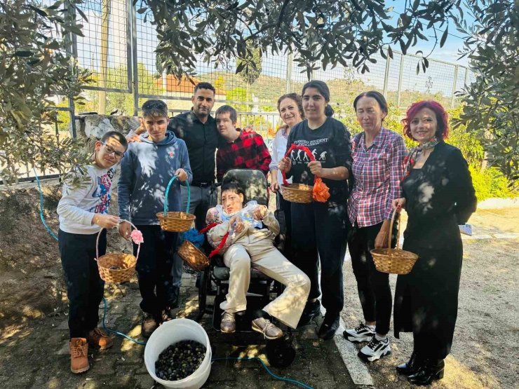 Yahşi Özel Eğitim öğrencilerinden anlamlı zeytin hasadı
