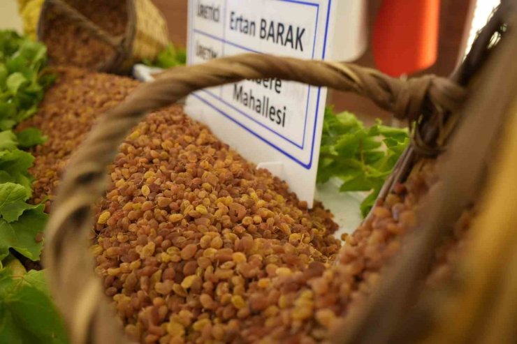 Manisa’nın 9 aylık tarım ihracatı 706,7 milyon dolara ulaştı