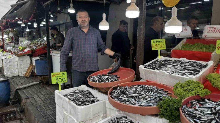 Alaplı’da hamsi 100 liradan alıcı buldu