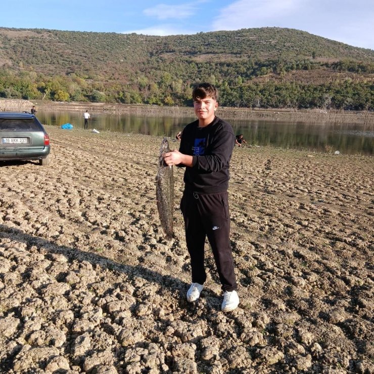 Kuruyan gölde yayın avı