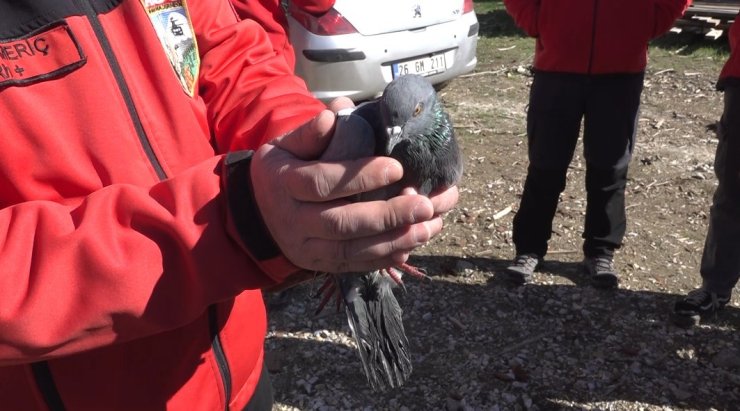Havalandırma boşluğunda 4 gündür mahsur kalan güvercin kurtarıldı