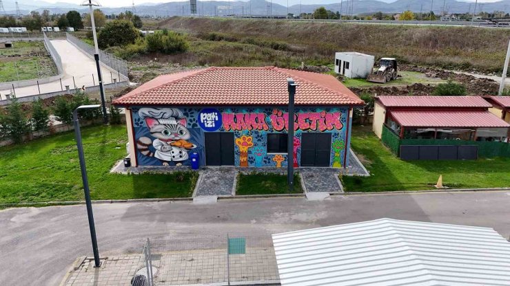 Doğal Yaşam Kampüsü’nde yemek atıkları mamaya dönüşüyor