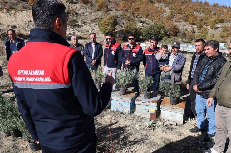 Arıcalara lavanta fidesi dağıtıldı