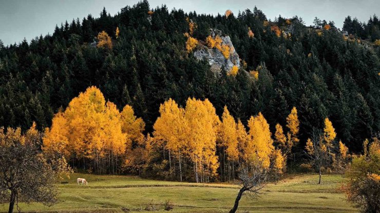 Şavşat’tan kartpostallık manzaralar