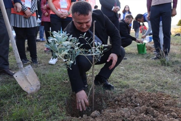 BŞEÜ’de zeytin fidanları toprakla buluştu