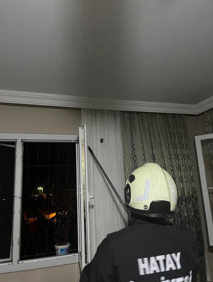 ARsuz’da eve giren yarasayı itfaiye yakaladı