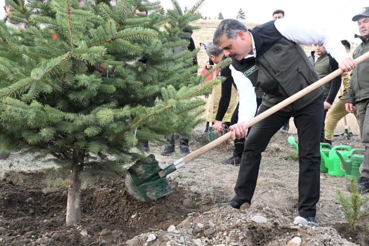 "Hastaya kan, ormana can"