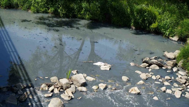 Gerede’de fabrikaların zehrini kustuğu derenin yeniden davası görülecek