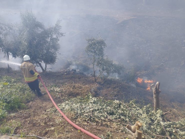 Kumlu’da bahçe yangını