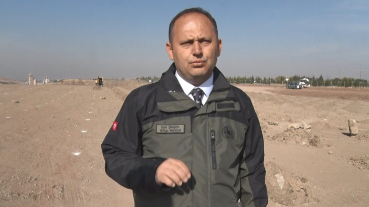 11 Kasım Milli Ağaçlandırma Günü için hazırlıklar sürüyor: Ankara’da 423 bin fidan toprakla buluşacak