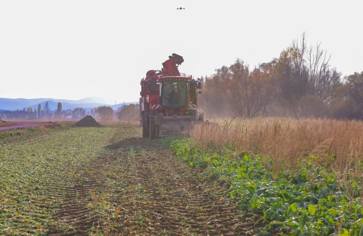 Bayburt’un Çiftetaş köyünde şeker pancarı hasadına başlandı