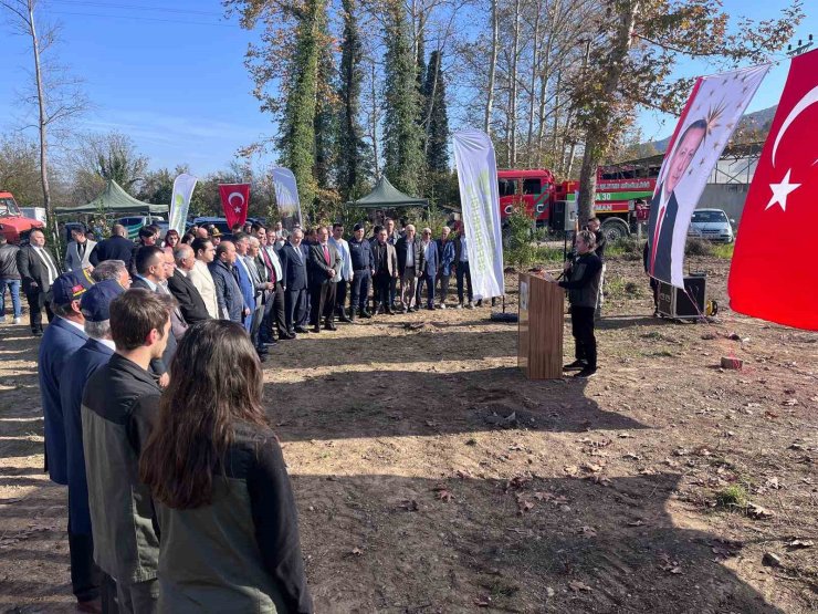 Devrek’te fidan dikim programı