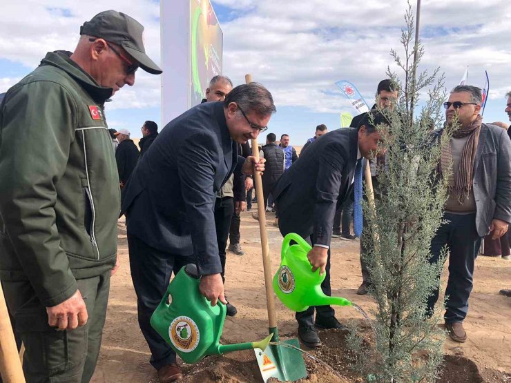 11 Kasım Milli Ağaçlandırma Günü’nde 20 bin fidan dikildi