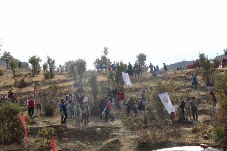 Şırnak’ta "Adliye Hatıra Ormanı" kuruldu