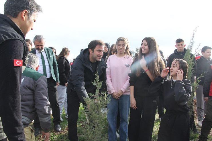 Yangında küle dönen ormanlık alanda fidan diktiler