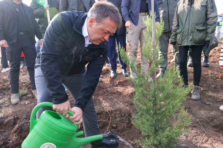 Orman yangınlarından etkilenen bölgede 5 bin fidanı toprakla buluşturuldu