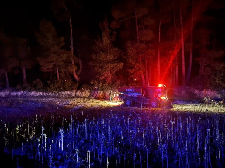 Muğla’da çıkan orman yangını kısa sürede kontrol altına alındı