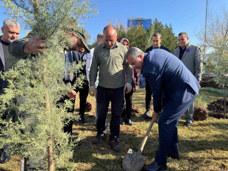 Diyarbakır’da Dünya Prematüre Günü etkinliği