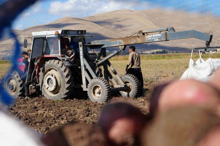 Bayburt’un Çayıryolu köyündeki patates hasadına İranlı işçiler destek veriyor