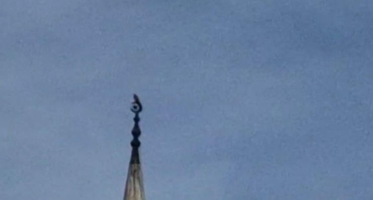 Bartın’da gökdoğan heyecanı