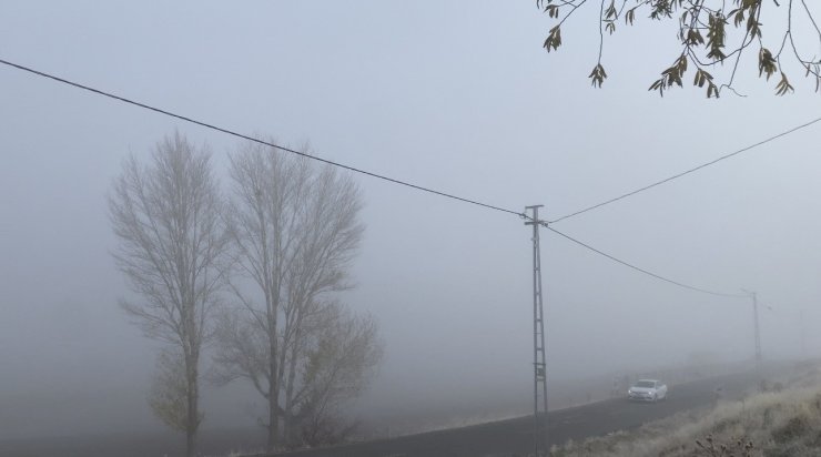 Patnos’ta yoğun sis yaşamı olumsuz etkiledi