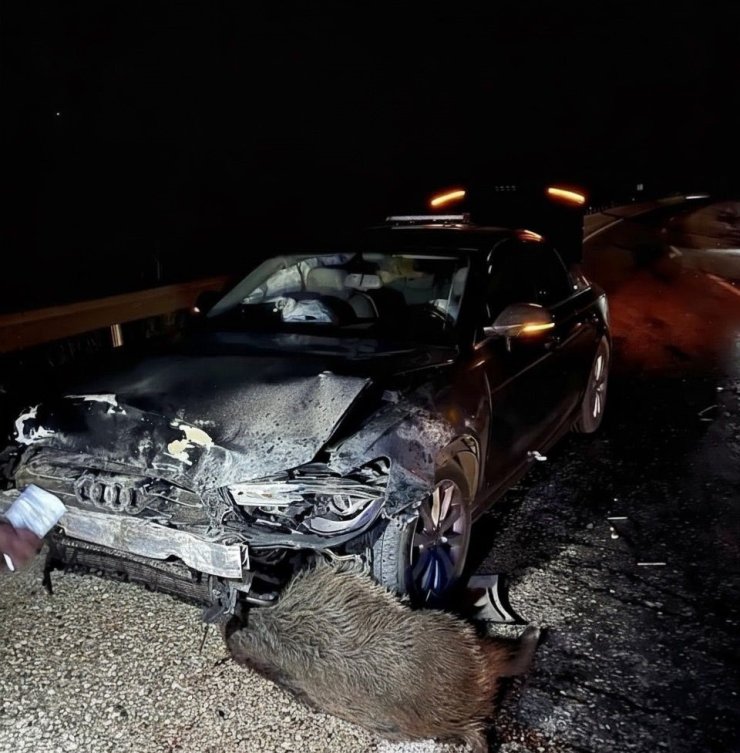 Sinop Belediye Başkanı Gürbüz’ün makam aracı domuz sürüsüne çarptı
