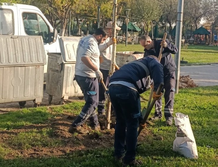 Yunusemre’de ağaçlandırma çalışmaları sürüyor