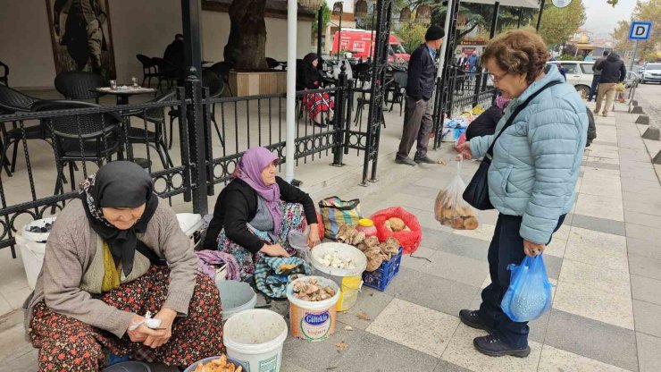 Deprem bölgesi Sındırgı’da hayat devam ediyor