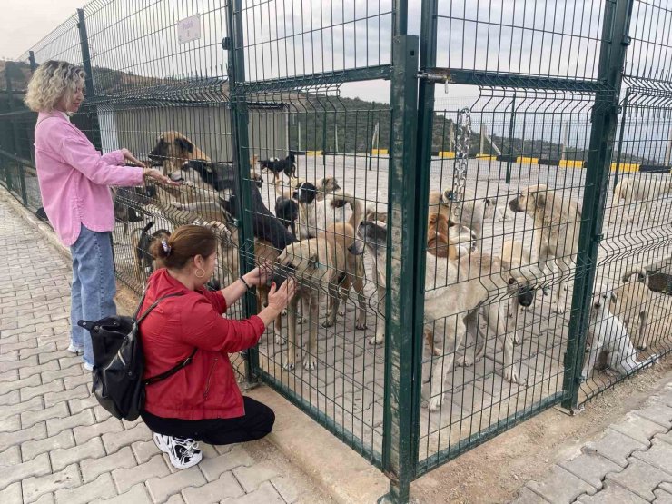 Alaşehir’de 30 dönümlük doğal yaşam alanı açıldı