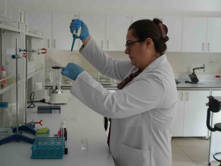 Sık sık gündeme gelen zehirlenmelerle ilgili uzmanlardan hayati uyarılar: "Denetlenen işletmeleri tercih edin"